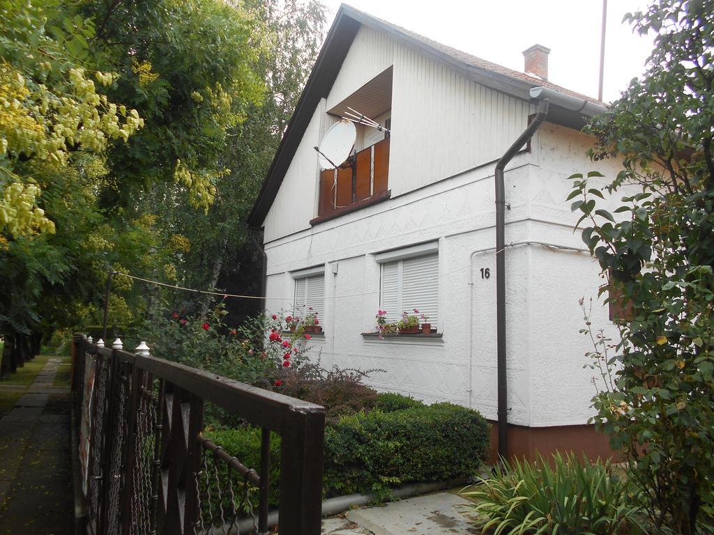 Abacsko Haz Villa Abádszalók Bagian luar foto